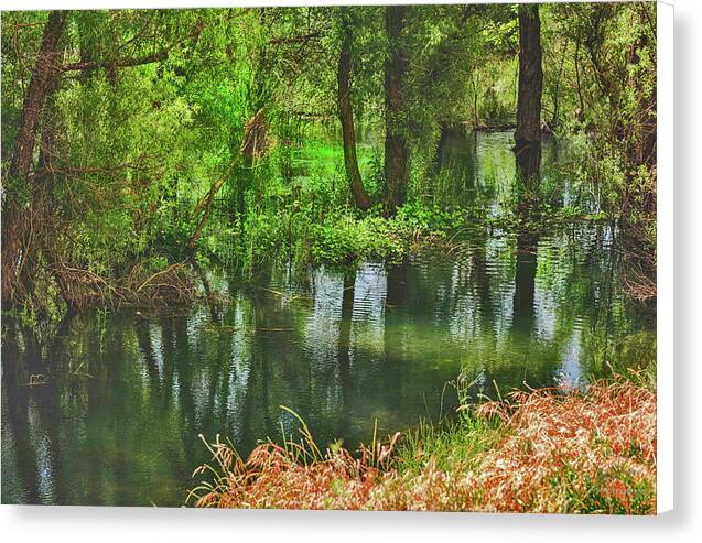 Green Reflections from a River  - Canvas Print