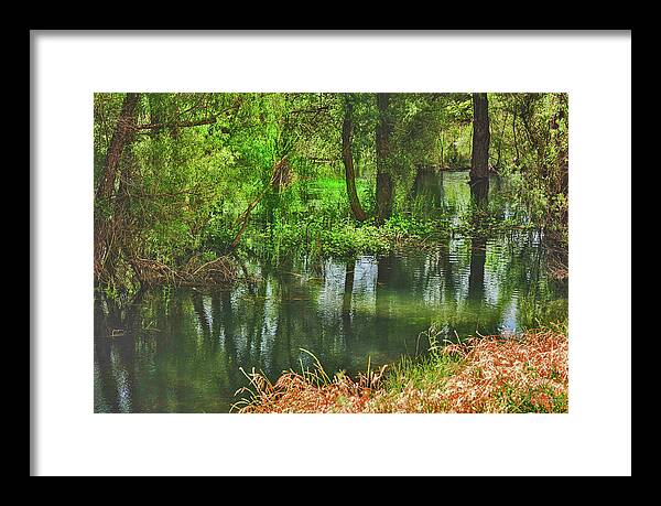 Green Reflections from a River  - Framed Print