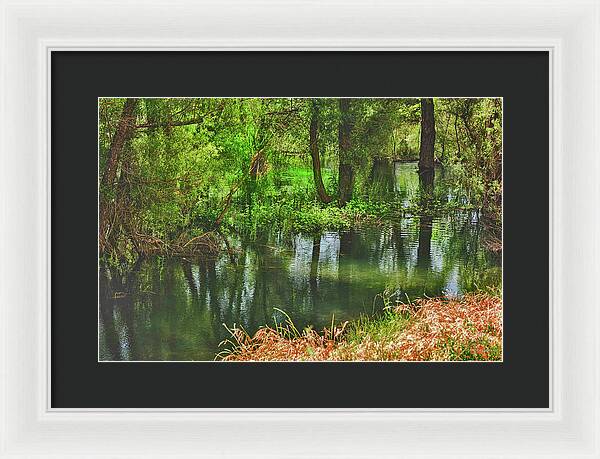 Green Reflections from a River  - Framed Print
