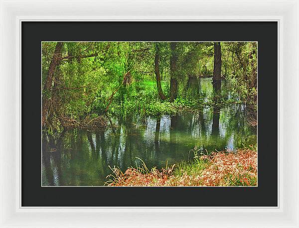 Green Reflections from a River  - Framed Print