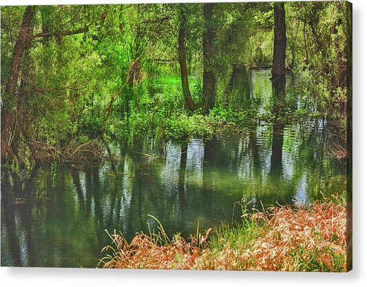 Green Reflections from a River  - Acrylic Print