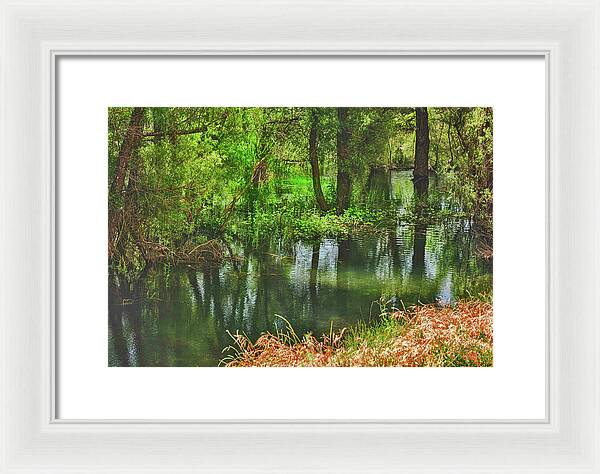 Green Reflections from a River  - Framed Print