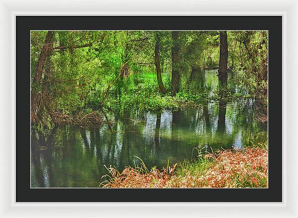 Green Reflections from a River  - Framed Print