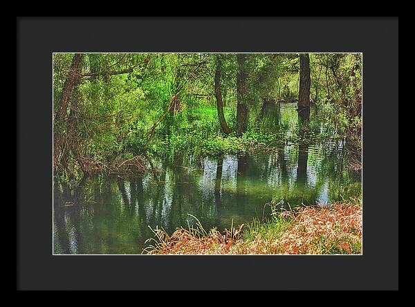 Green Reflections from a River  - Framed Print