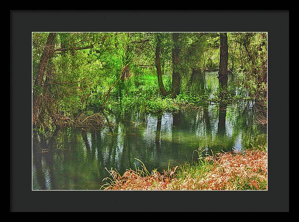 Green Reflections from a River  - Framed Print