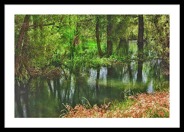 Green Reflections from a River  - Framed Print