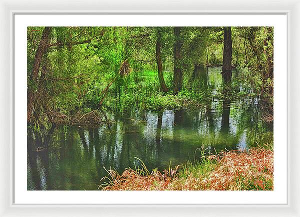 Green Reflections from a River  - Framed Print