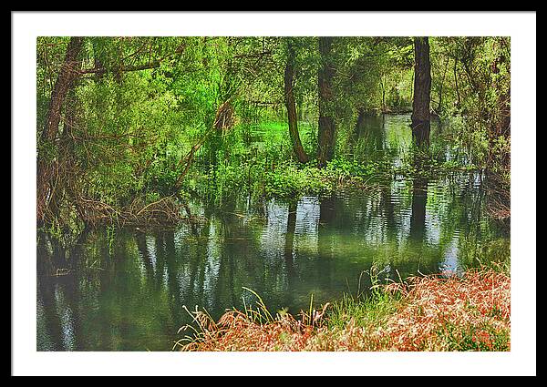 Green Reflections from a River  - Framed Print
