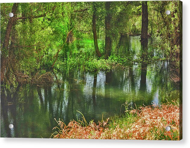 Green Reflections from a River  - Acrylic Print