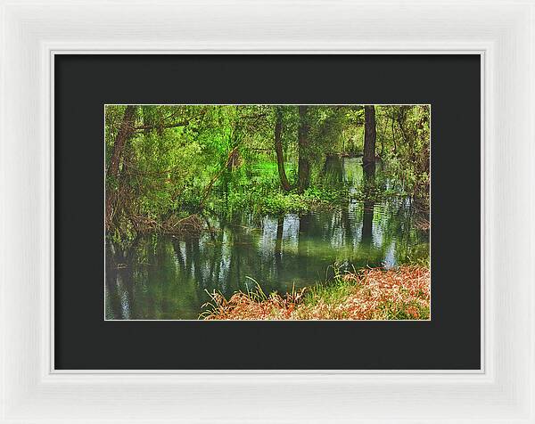 Green Reflections from a River  - Framed Print