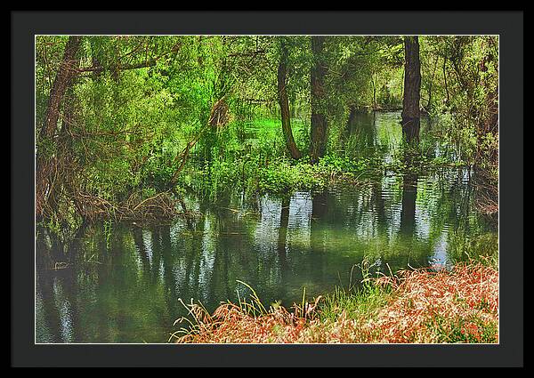 Green Reflections from a River  - Framed Print