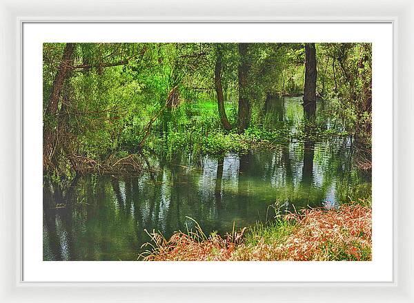 Green Reflections from a River  - Framed Print