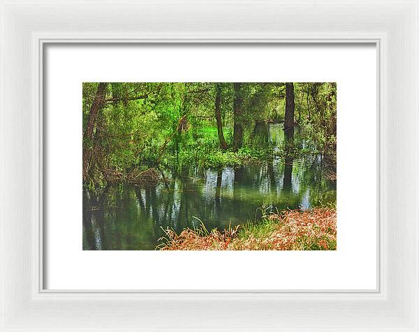 Green Reflections from a River  - Framed Print