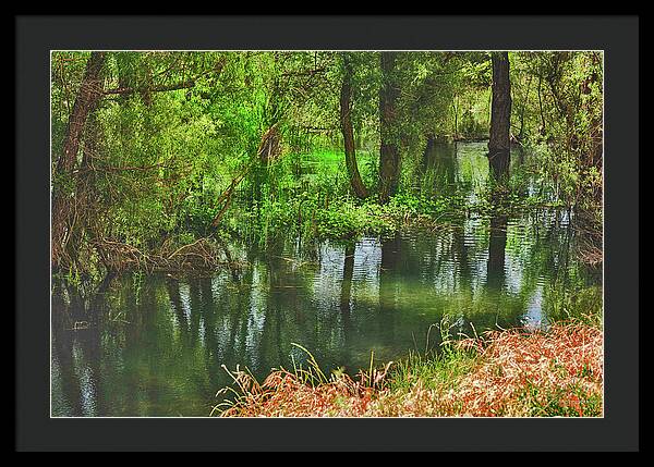 Green Reflections from a River  - Framed Print