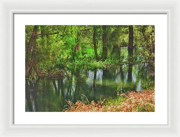 Green Reflections from a River  - Framed Print