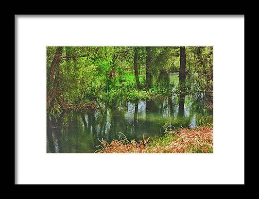 Green Reflections from a River  - Framed Print