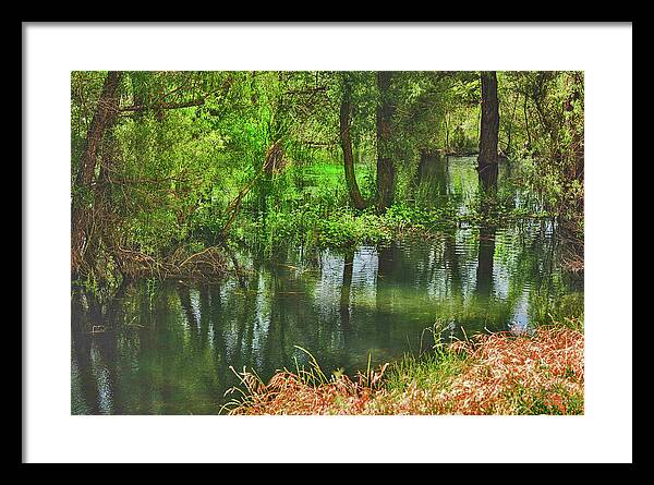 Green Reflections from a River  - Framed Print