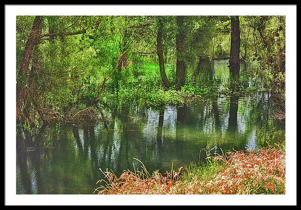 Green Reflections from a River  - Framed Print