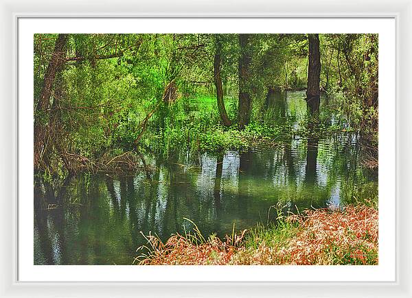 Green Reflections from a River  - Framed Print