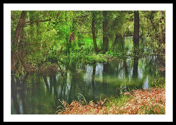 Green Reflections from a River  - Framed Print