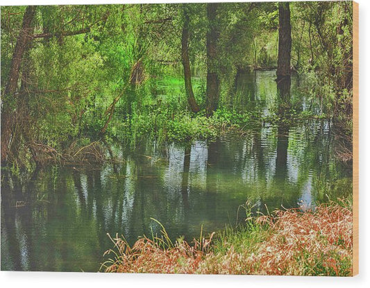 Green Reflections from a River  - Wood Print