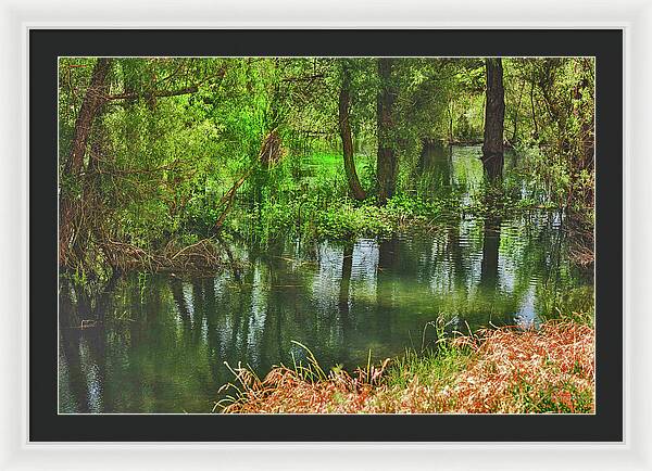 Green Reflections from a River  - Framed Print