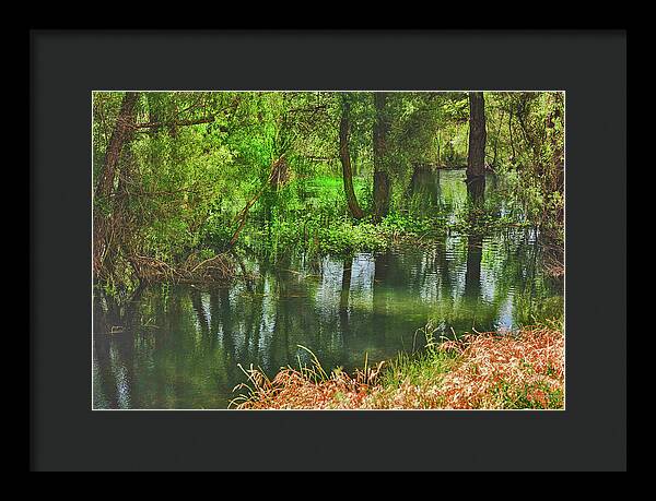 Green Reflections from a River  - Framed Print