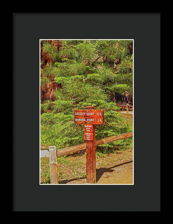 Grizzly Giant Post Mariposa Grove - Framed Print