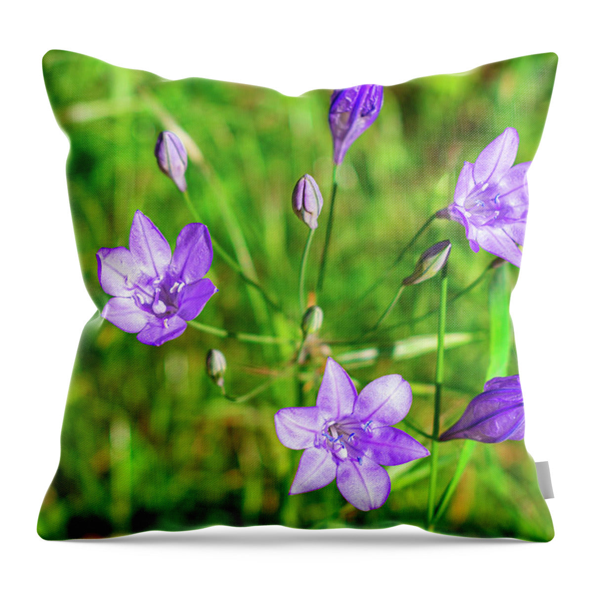 Heavenly Violet Flowers - Throw Pillow