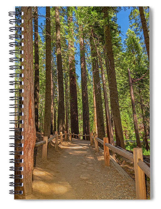 Hiking Trail in Mariposa Grove of Giant Sequoias - Spiral Notebook