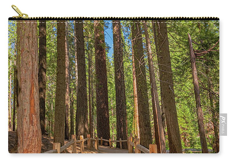 Hiking Trail in Mariposa Grove of Giant Sequoias - Zip Pouch