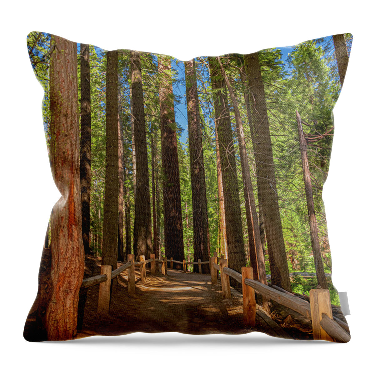 Hiking Trail in Mariposa Grove of Giant Sequoias - Throw Pillow