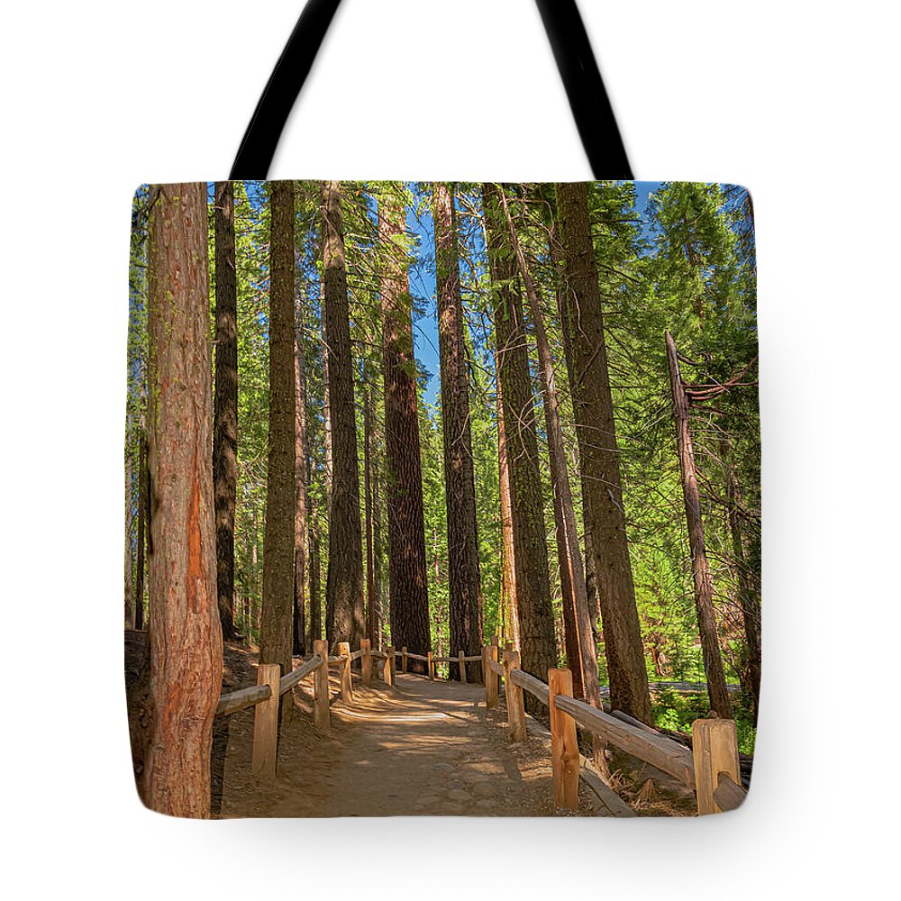 Hiking Trail in Mariposa Grove of Giant Sequoias - Tote Bag