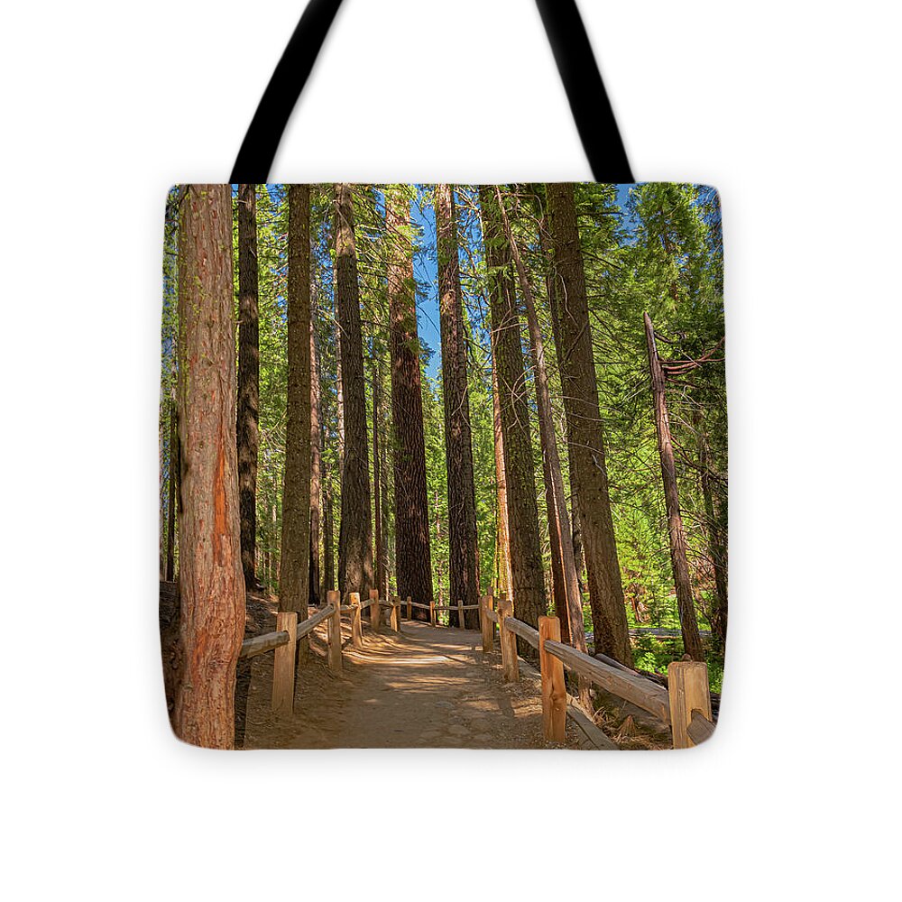 Hiking Trail in Mariposa Grove of Giant Sequoias - Tote Bag