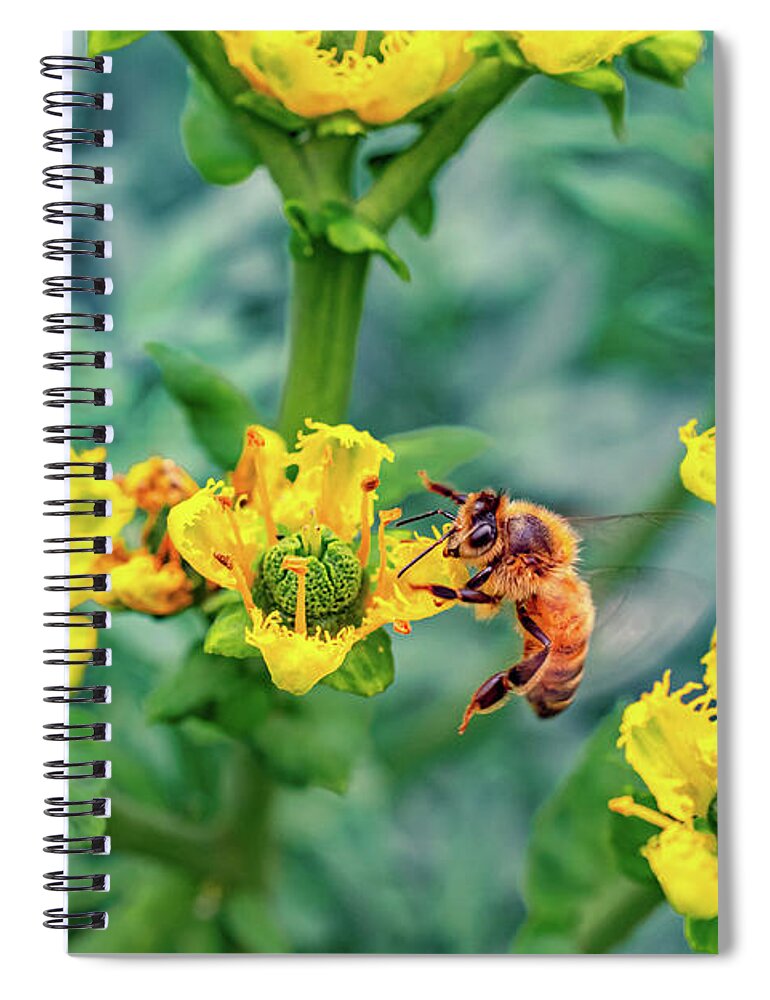 Holding on to Dear Life of a Bee - Spiral Notebook