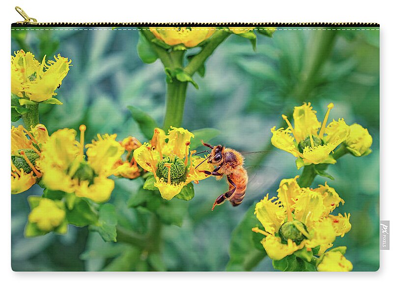 Holding on to Dear Life of a Bee - Zip Pouch