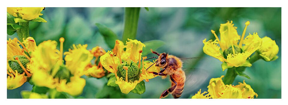 Holding on to Dear Life of a Bee - Yoga Mat