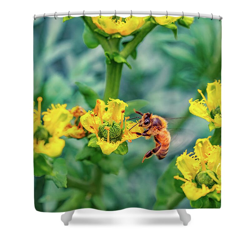 Holding on to Dear Life of a Bee - Shower Curtain