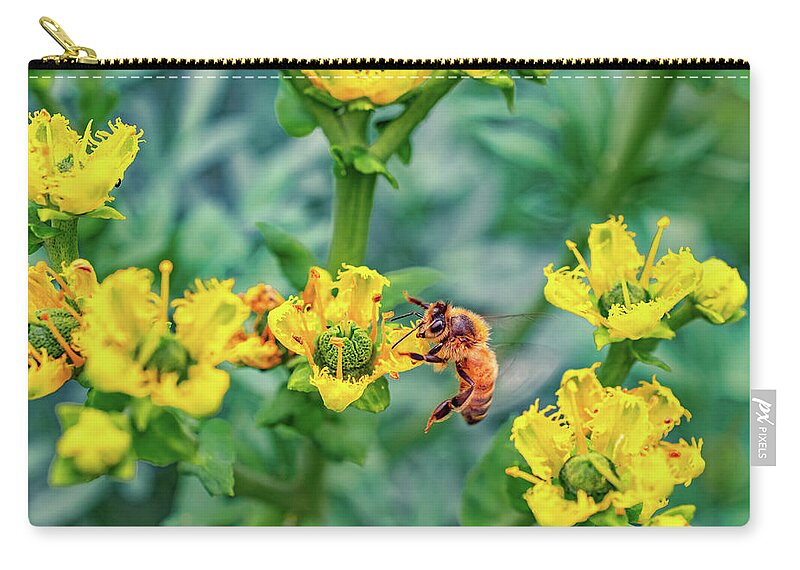 Holding on to Dear Life of a Bee - Zip Pouch