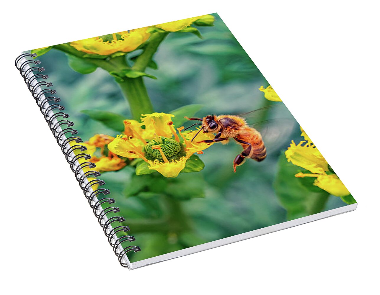 Holding on to Dear Life of a Bee - Spiral Notebook