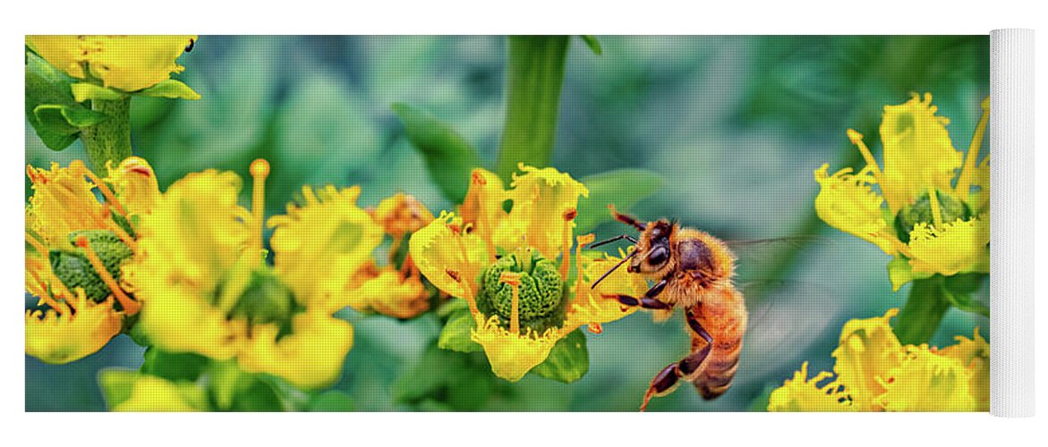 Holding on to Dear Life of a Bee - Yoga Mat