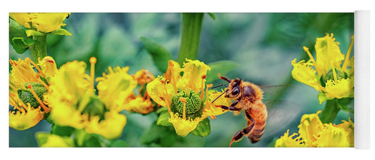 Holding on to Dear Life of a Bee - Yoga Mat