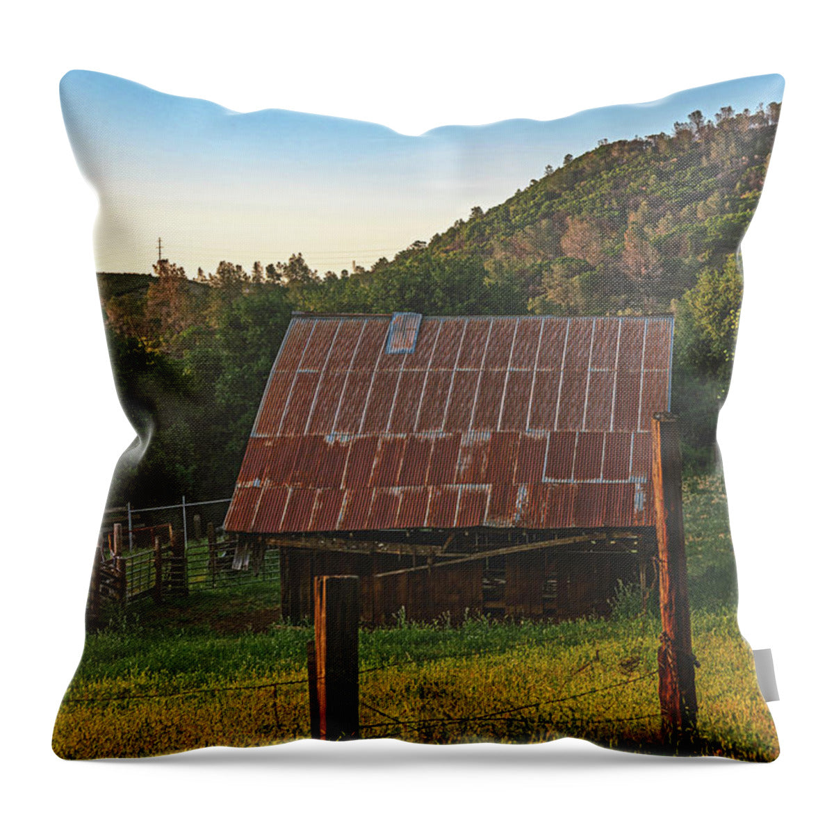 Ladnscape of an Old Barn - Throw Pillow