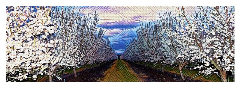 Landscape Blooms with Colorful Background - Yoga Mat