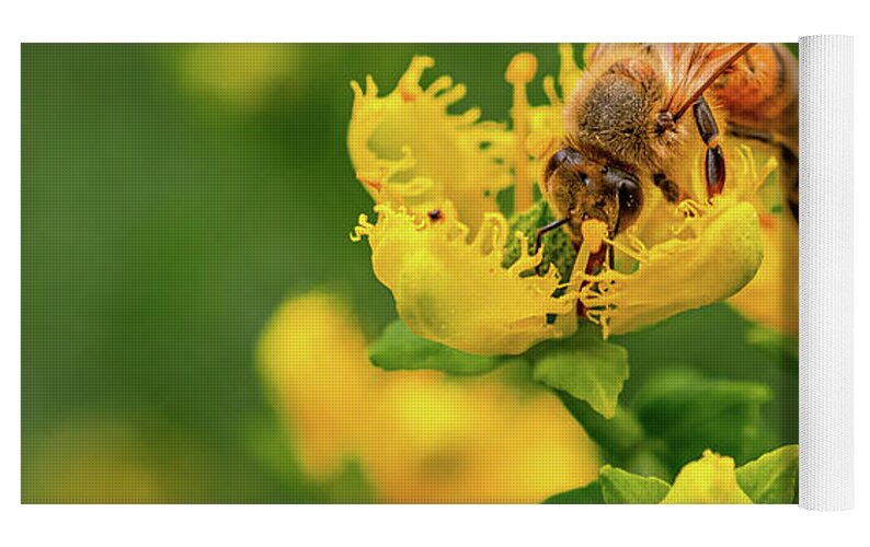 Landscape of a bee and yellow flowers - Yoga Mat