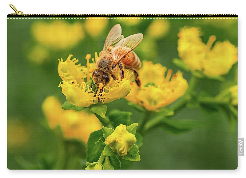 Landscape of a bee and yellow flowers - Zip Pouch