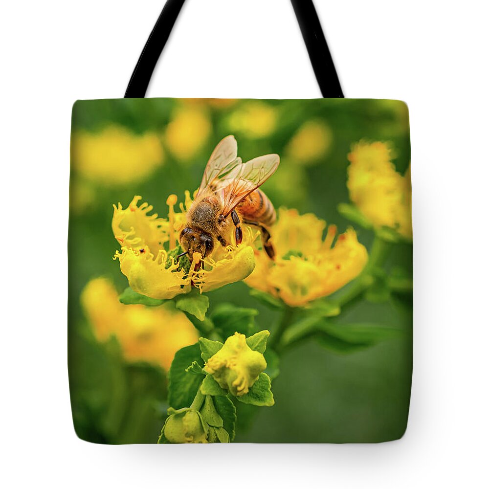 Landscape of a bee and yellow flowers - Tote Bag