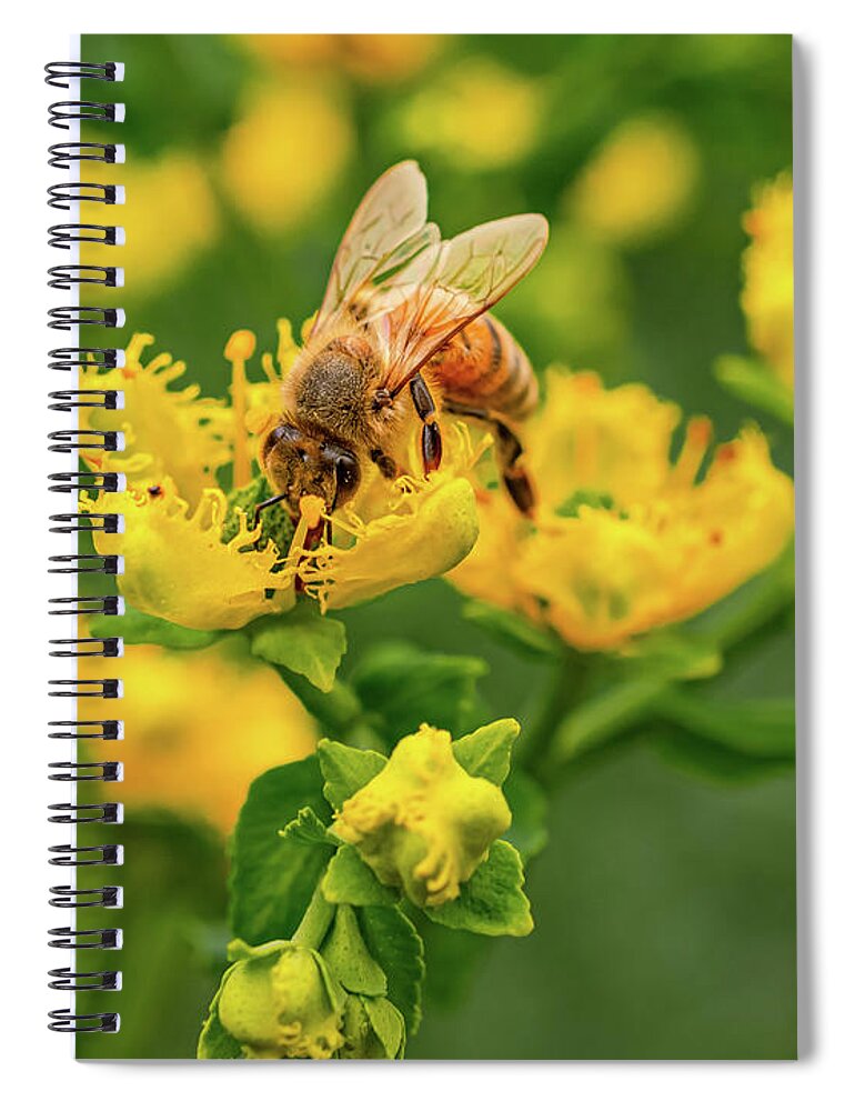 Landscape of a bee and yellow flowers - Spiral Notebook