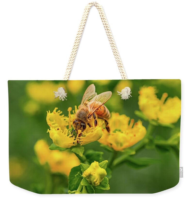 Landscape of a bee and yellow flowers - Weekender Tote Bag