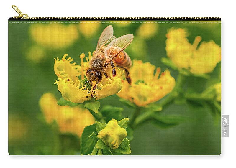 Landscape of a bee and yellow flowers - Zip Pouch